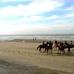 In Near Seafront Apartment Blankenberge