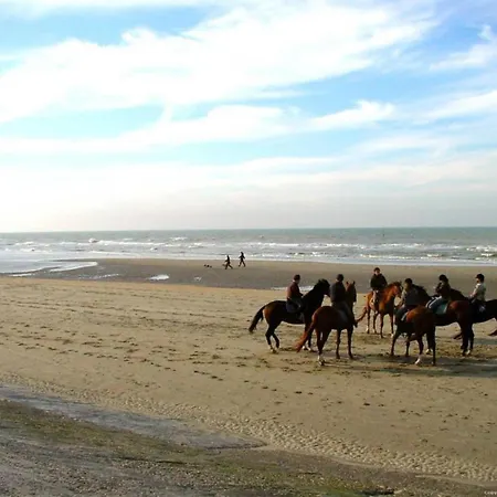 Carlton Mondial In Appartement Blankenberge