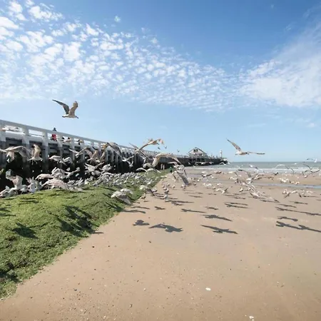 In Near Seafront Blankenberge